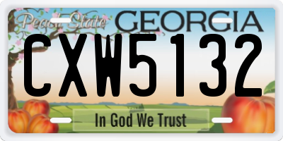 GA license plate CXW5132