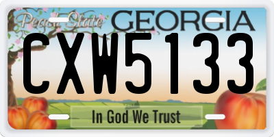 GA license plate CXW5133