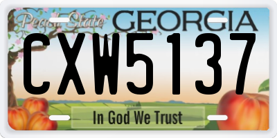 GA license plate CXW5137