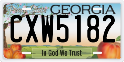 GA license plate CXW5182