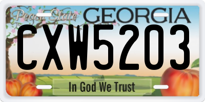 GA license plate CXW5203