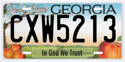 GA license plate CXW5213