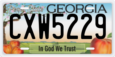 GA license plate CXW5229