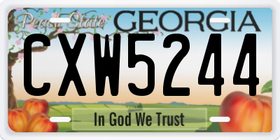 GA license plate CXW5244
