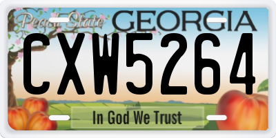 GA license plate CXW5264