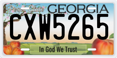 GA license plate CXW5265