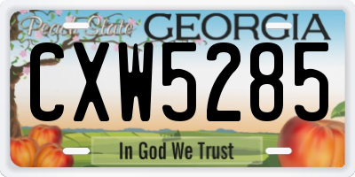 GA license plate CXW5285