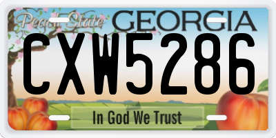 GA license plate CXW5286