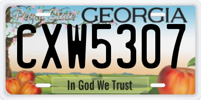 GA license plate CXW5307