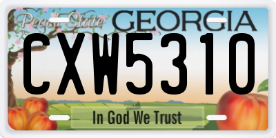 GA license plate CXW5310