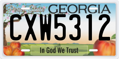 GA license plate CXW5312