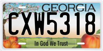 GA license plate CXW5318