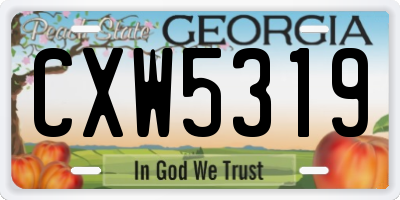 GA license plate CXW5319