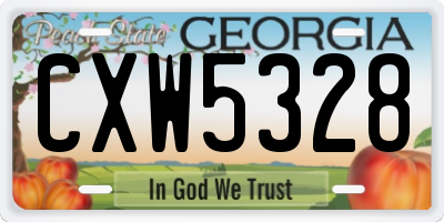 GA license plate CXW5328