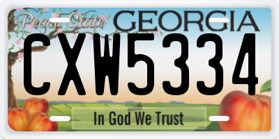 GA license plate CXW5334
