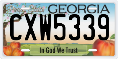 GA license plate CXW5339