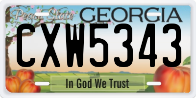 GA license plate CXW5343