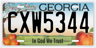 GA license plate CXW5344
