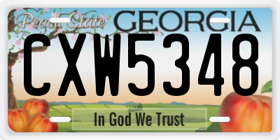 GA license plate CXW5348