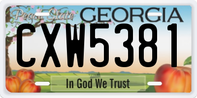 GA license plate CXW5381