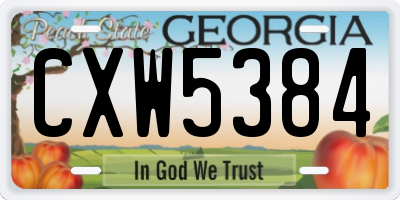 GA license plate CXW5384