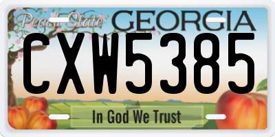 GA license plate CXW5385