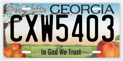 GA license plate CXW5403