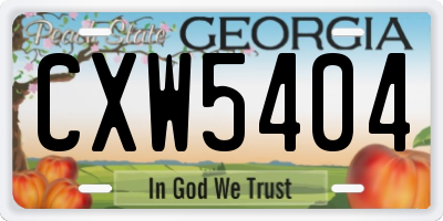 GA license plate CXW5404