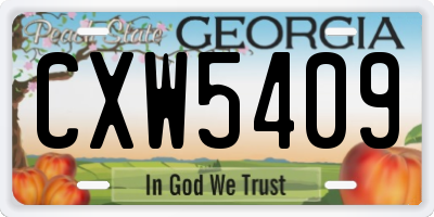GA license plate CXW5409