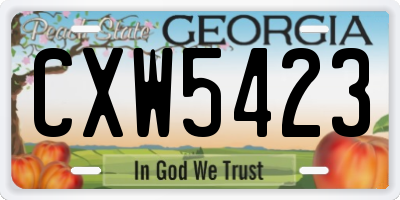 GA license plate CXW5423