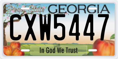 GA license plate CXW5447