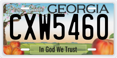 GA license plate CXW5460