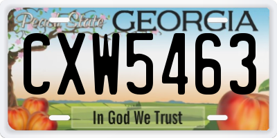 GA license plate CXW5463