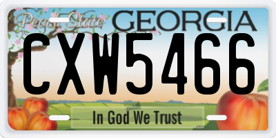 GA license plate CXW5466