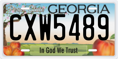 GA license plate CXW5489