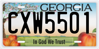 GA license plate CXW5501