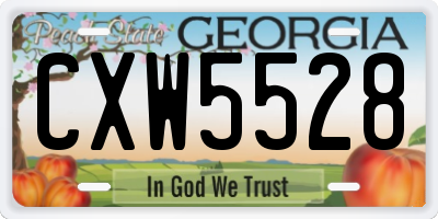GA license plate CXW5528