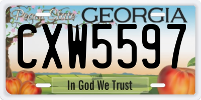 GA license plate CXW5597