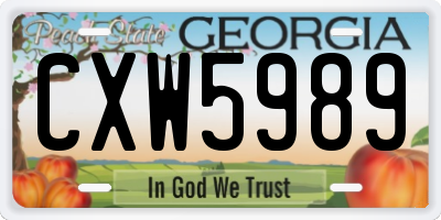 GA license plate CXW5989