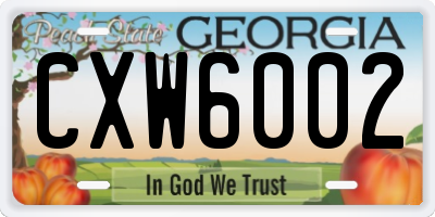 GA license plate CXW6002