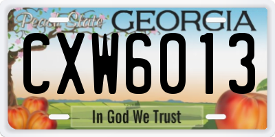 GA license plate CXW6013