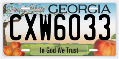 GA license plate CXW6033