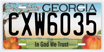GA license plate CXW6035