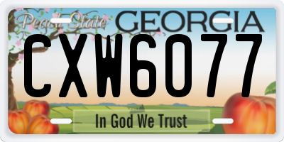 GA license plate CXW6077