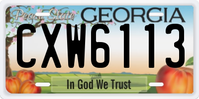 GA license plate CXW6113