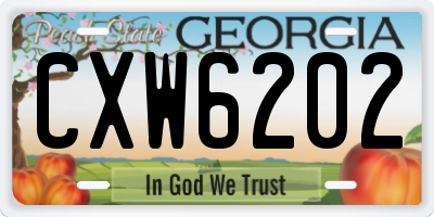 GA license plate CXW6202