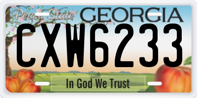 GA license plate CXW6233