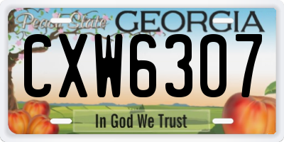 GA license plate CXW6307