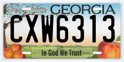 GA license plate CXW6313
