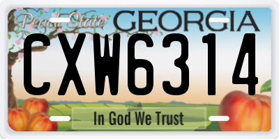 GA license plate CXW6314